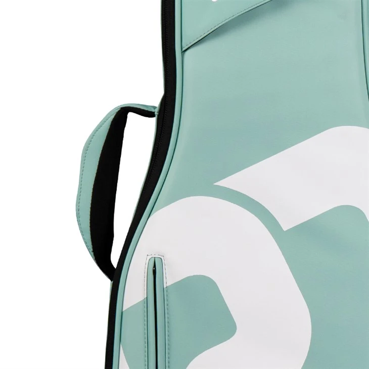 Acoustic Gig Bags