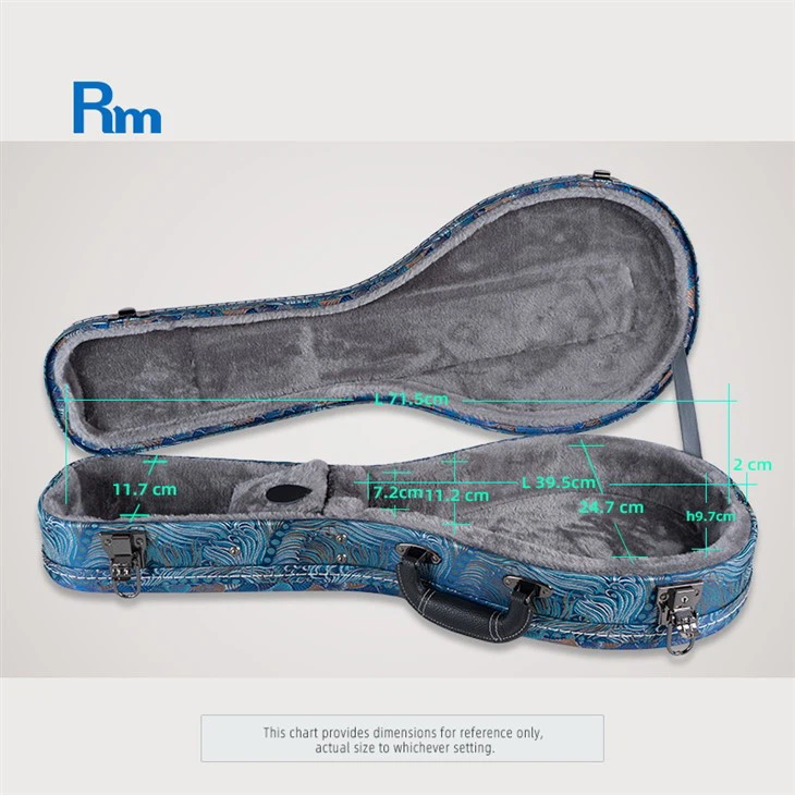 Best Portable Wooden Mandolin Case