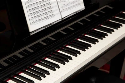 The Benefits of Learning a Musical Instrument: Enriching Life and Enhancing A...